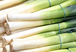 leeks_edited.jpg