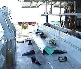 live aboard, dolphin cruise, Bottom Time, snorkeling, skindiving, Bahamas, Delphines, The Blue Inc.