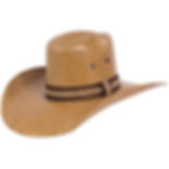 Tombstone 1951 Bronze Cowboy Hat