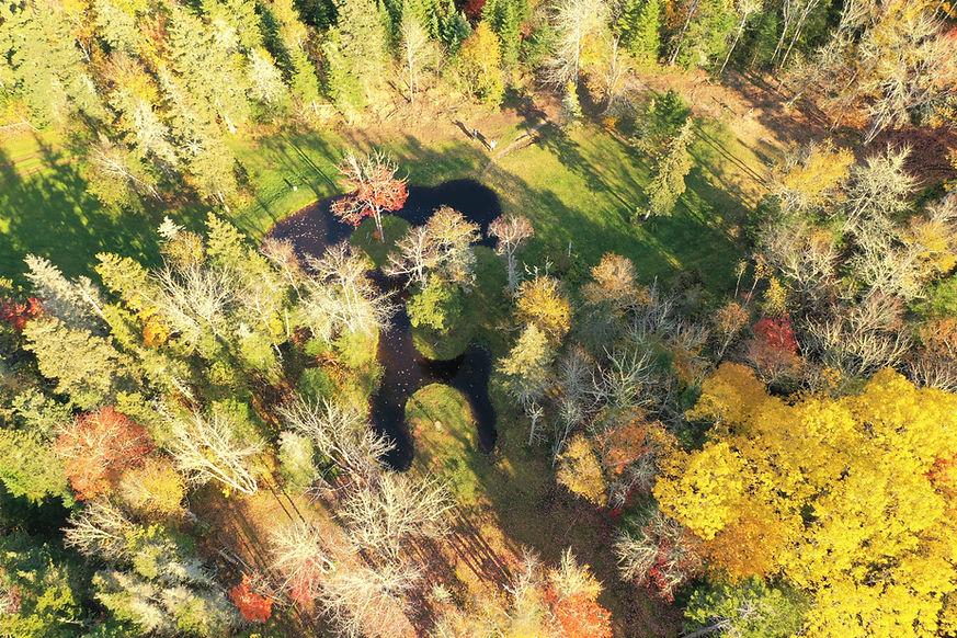 PEI Drone two (2).JPG