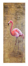 bybuelow, Flamingo, Vögel, Elnshorn