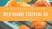Orange you nice....
