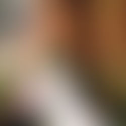 HONEY MI HONEY 2017AW