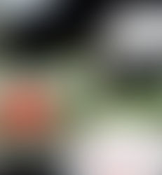 PARCOya UENO magazine