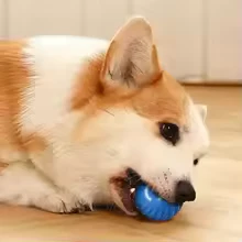 Thumbnail: Smart bouncy and rolling ball for pets.