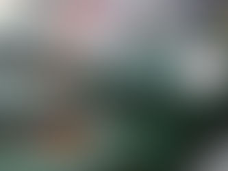 La ecuación de la libélula