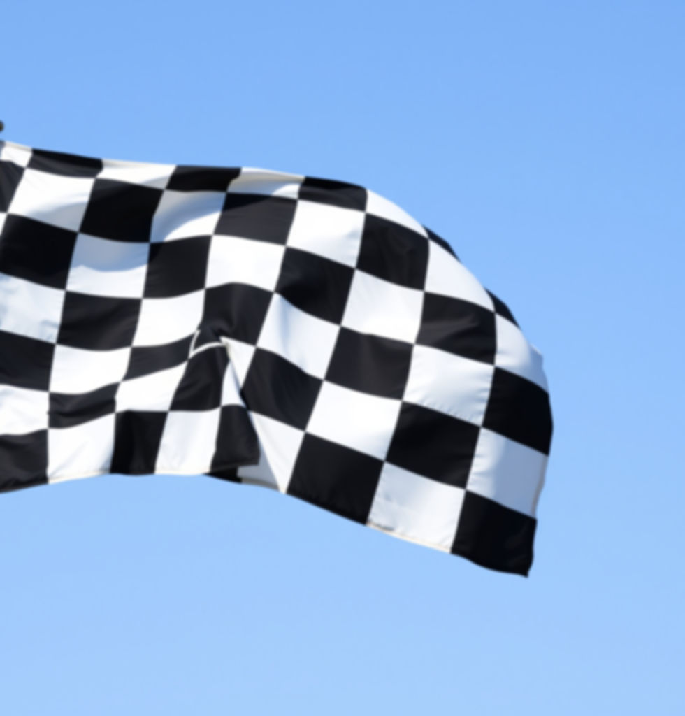 checkered flag .jpg