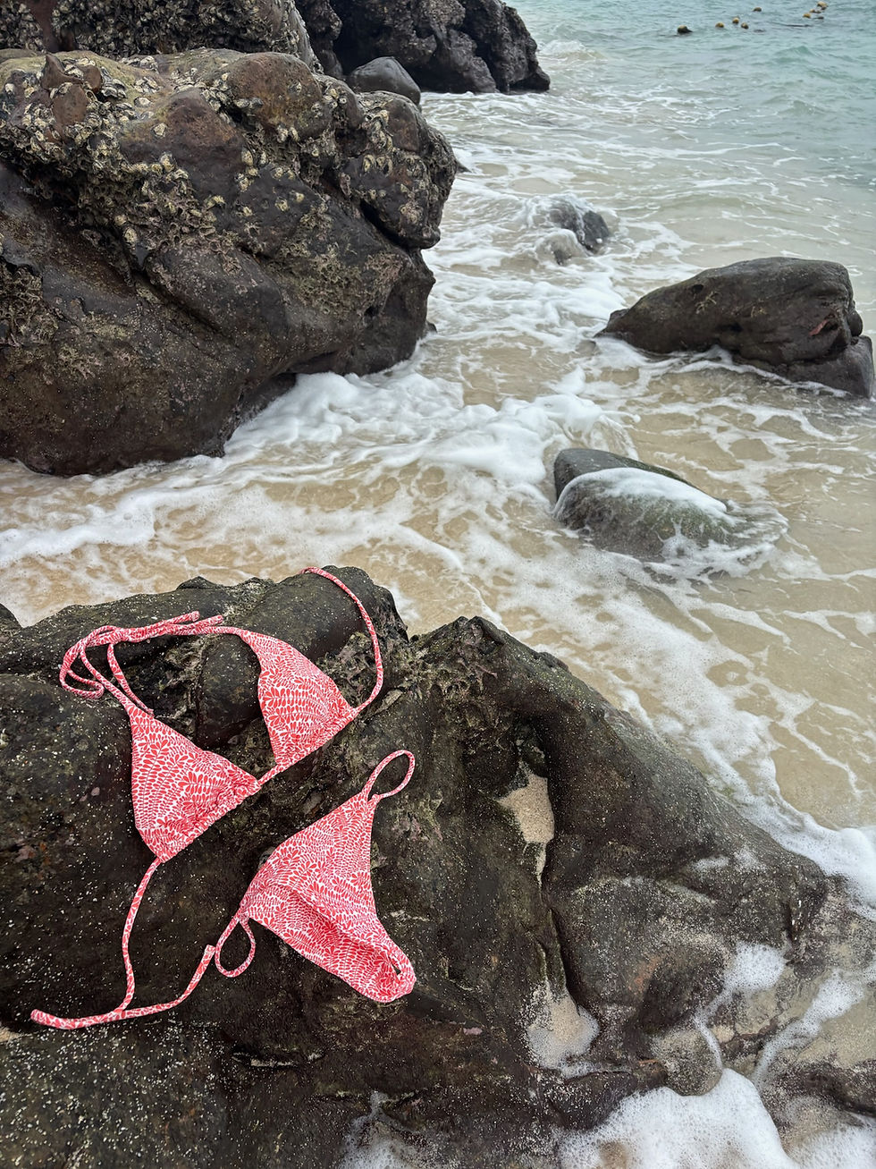 Thumbnail: The Coral Bikini