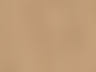 Möbelfronten in Holzoptik