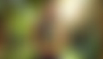 sănătate în pahar