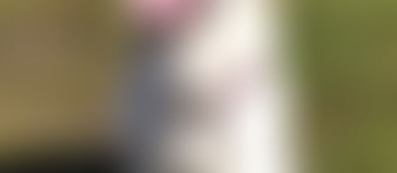 ご予約、受け付けします。