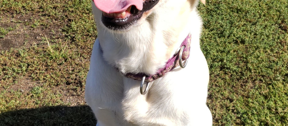 ご予約、受け付けします。