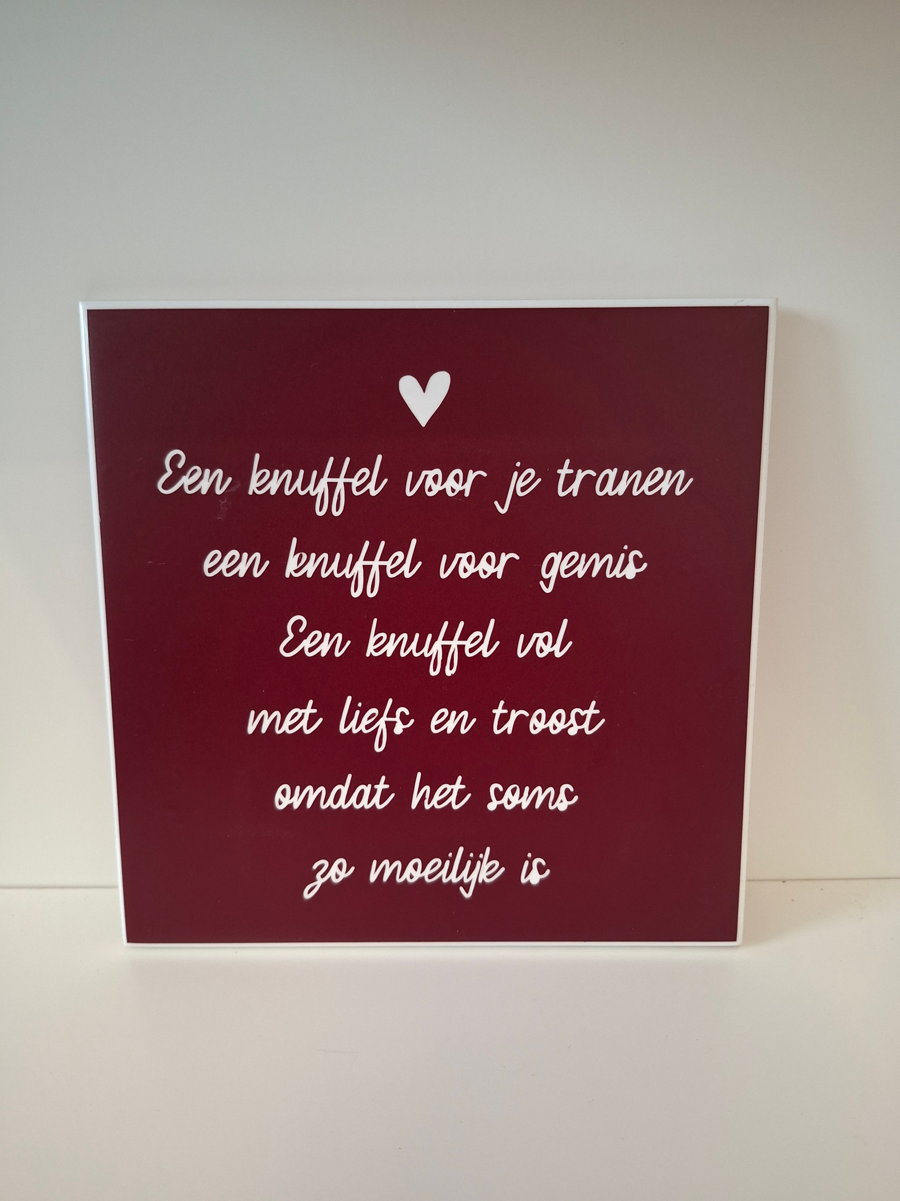 Tegeltje ´Een knuffel´