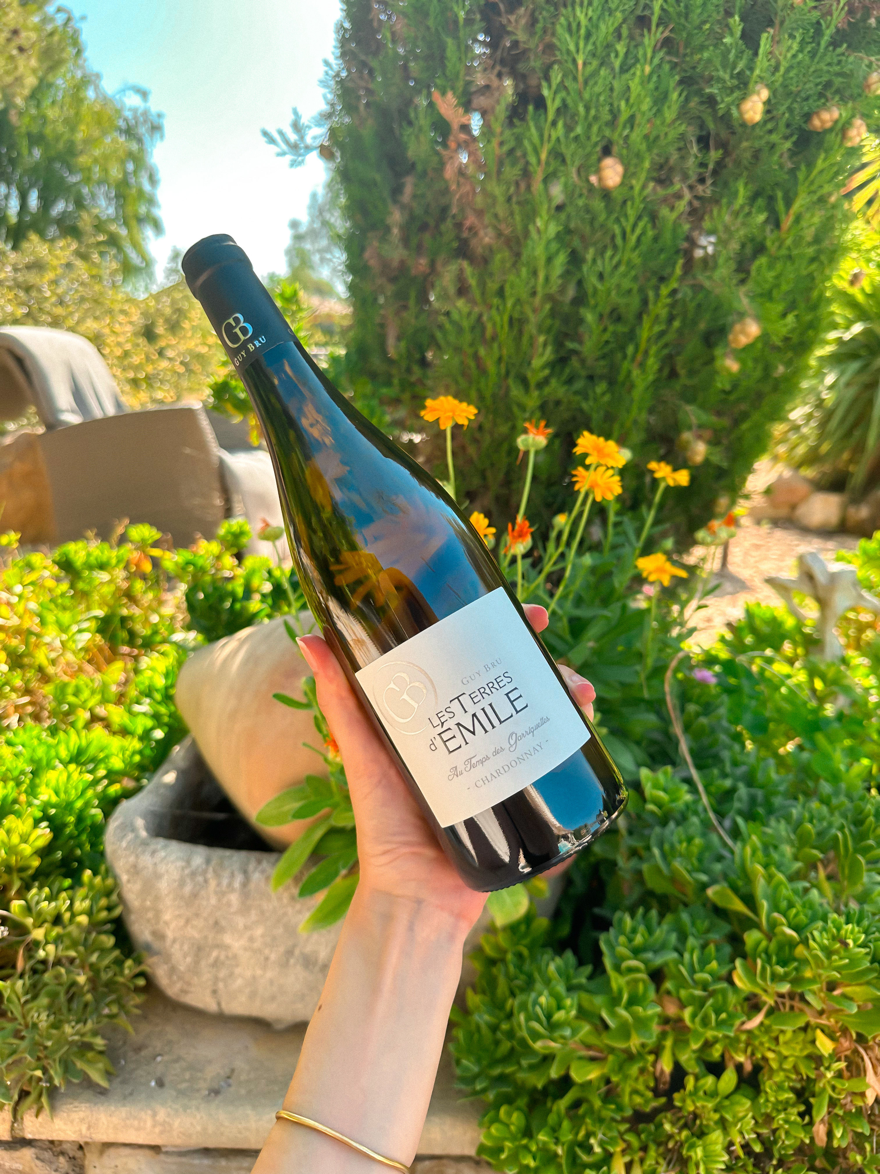 CHARDONNAY - VIN BLANC