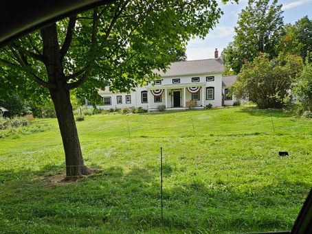 New Beginnings at Imbolc Gairdín