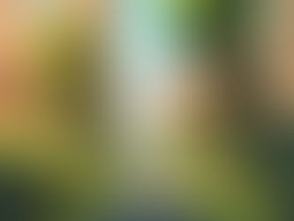 Why percent of greenspace is a false mediation of common land development practices. The better solution is soil biodiversity.