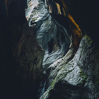 pexels-rickyrecap-1683490.jpg