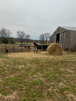 Erickson Ranch