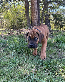 Messenger_creation_1AF503AA-0808-41A4-88C4-4185C3DAF37D (1).jpeg