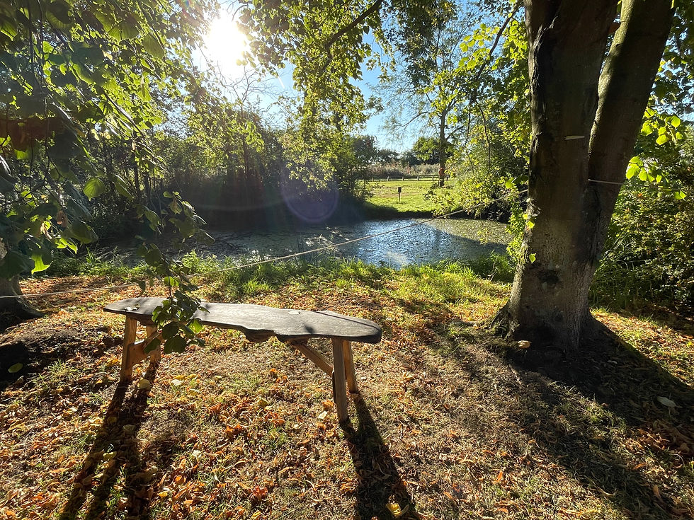 The Power of Stillness: My 10-Day Silent Meditation Retreat