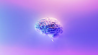 Brain.jpg