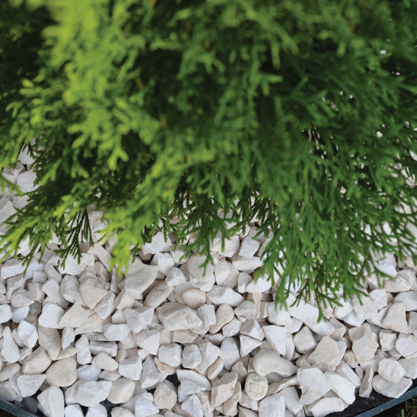 GeoReef Landscaping Profile Edging