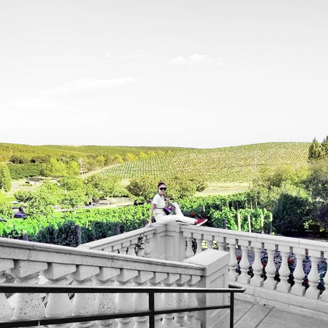 'We Went, We Walked, We Wined'_▪ Napa, C