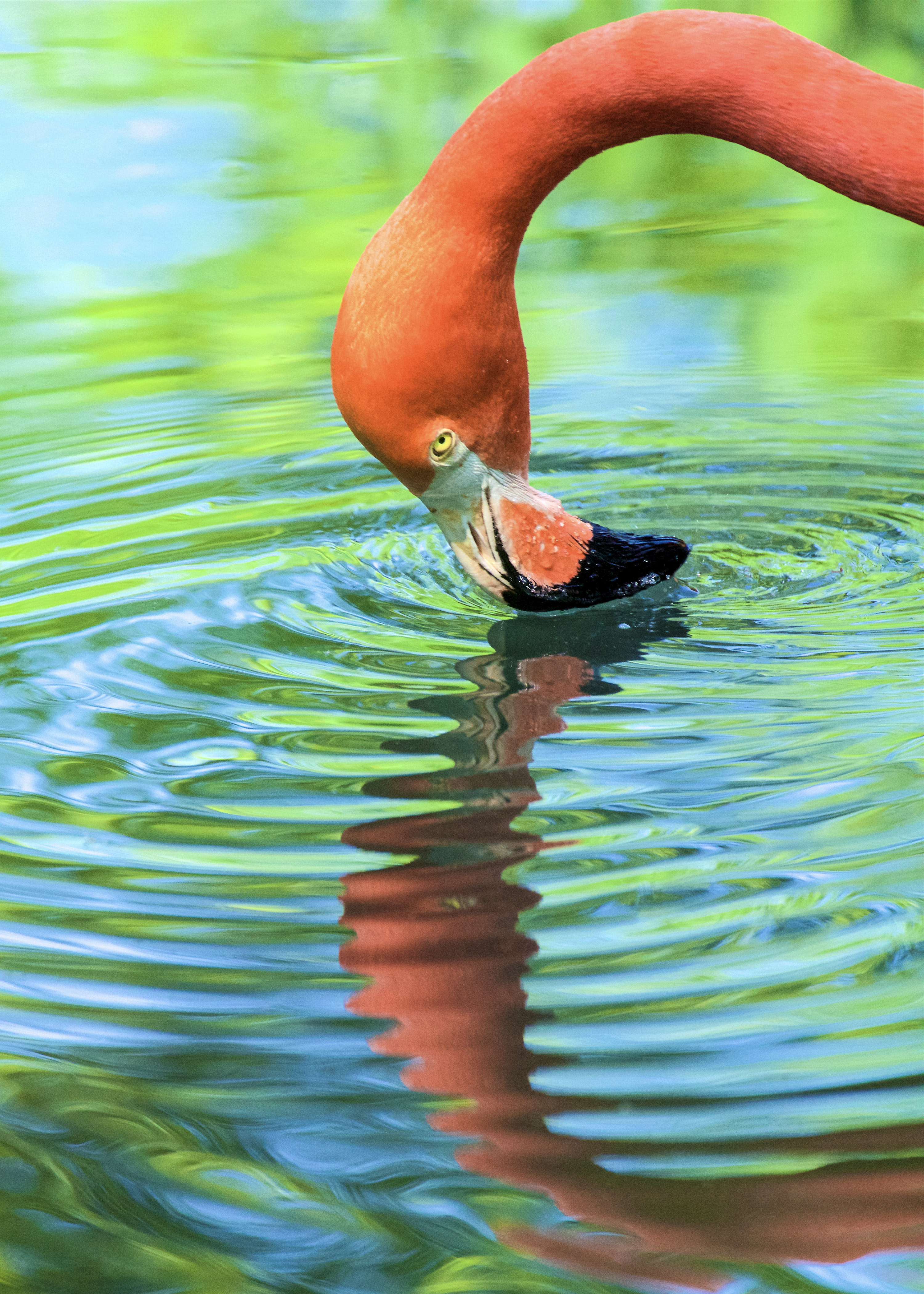 Woman with artichoke.jpg