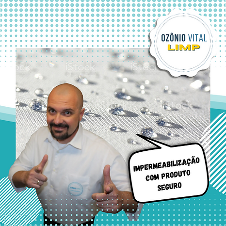 Cópia de cARRO LIMPO É COM A OZONIO VITAL (3).png