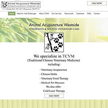 Animal Acupuncture Westside
