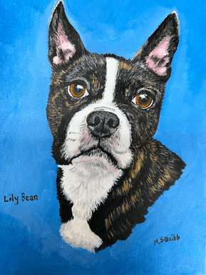 Lily Bean, Boston Bull Terrier, Pet Portrait by Michele Squibb