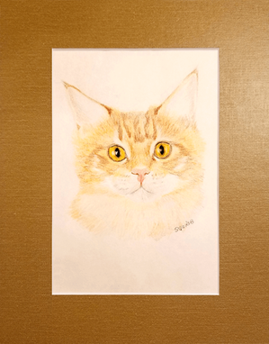 Orange Tabby, Pet Portrait by Michele Squibb