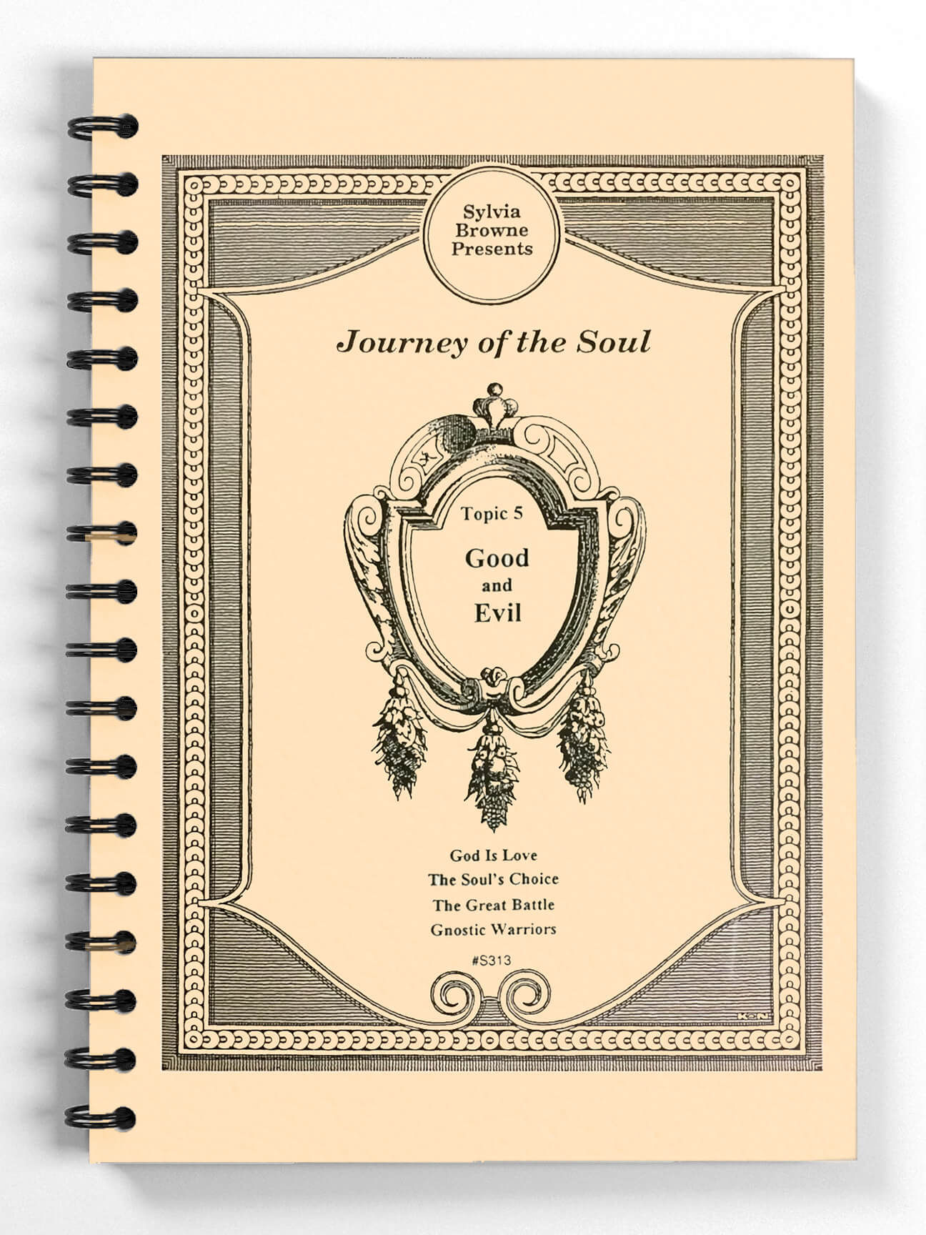 Journey of the Soul: Topic 5 - Good and Evil