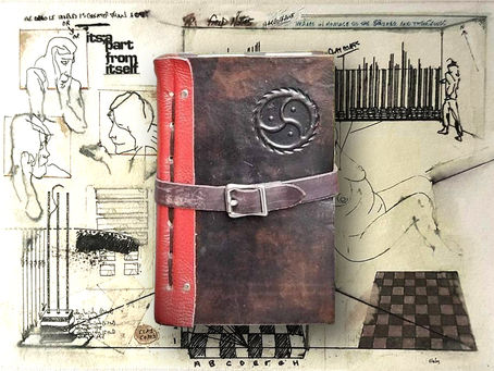 FIELD NOTES ~ 05.21.24