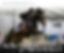 World Equestrian Center Winter Classic #11, AA