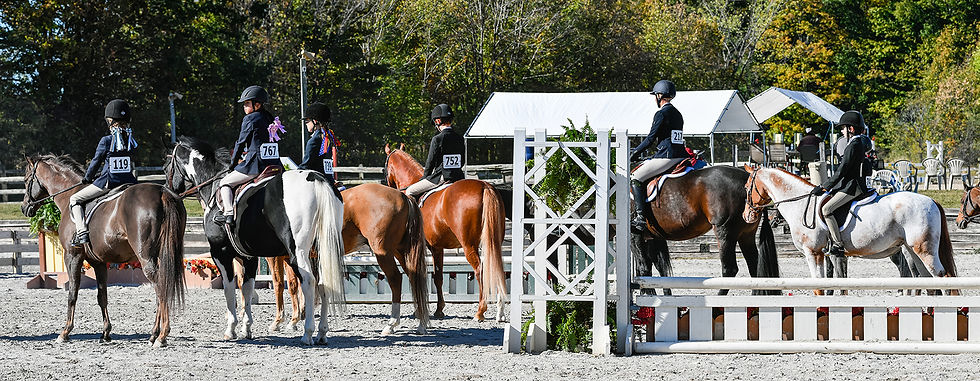 Chagrin Valley Farms USEF A rated show