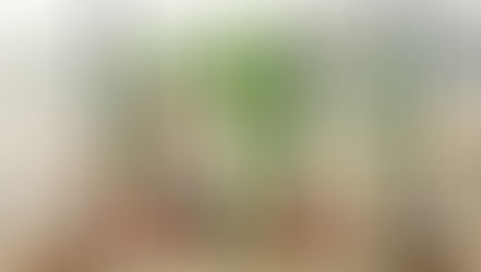 Ağustos Ayının zorlu etkilerinden korunmak için Feng Shui ye göre ne yapmalısınız? Ağustos 2025 Feng Shui Önerileri