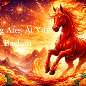 yang ateş at yılı