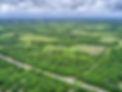 Aerial of Entire Property.jpg