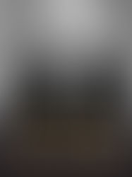 The Mis-Education of The Negro: by Carter G. Woodson