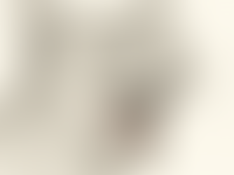 What’s in Your Cat’s Mouth? A Closer Look at Feline Dental Disease