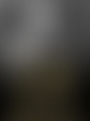 Up from Slavery: by Booker T. Washington