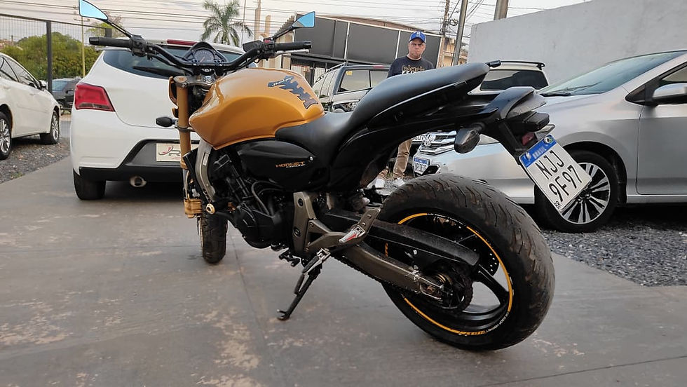 Miniatura: HORNET   600cc