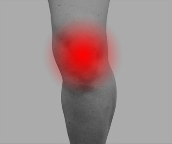 leg.1.jpg