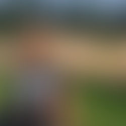 ✨ Une séance photo en famille  dans les champs, entre liberté, rires et lumière dorée