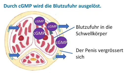 kaufen fildena generika