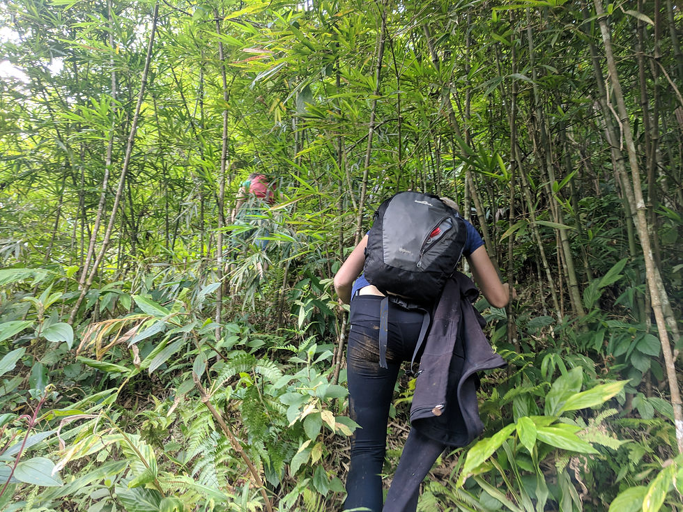 Trekking in Sapa, Vietnam