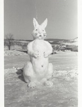 snow bunny.jpeg