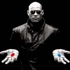 הישרדות כסף ותכנות מחדש💸