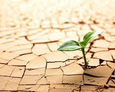 כיצד להתמיד?💪👌